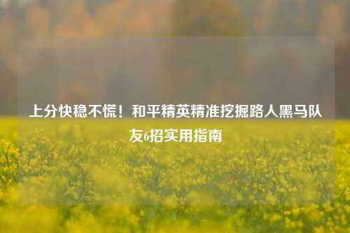 上分快稳不慌！和平精英精准挖掘路人黑马队友6招实用指南