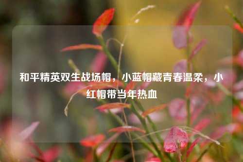 和平精英双生战场帽,小蓝帽藏青春温柔,小红帽带当年热血