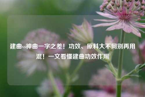 建曲vs神曲一字之差!功效、原料大不同别再用混!一文看懂建曲功效作用