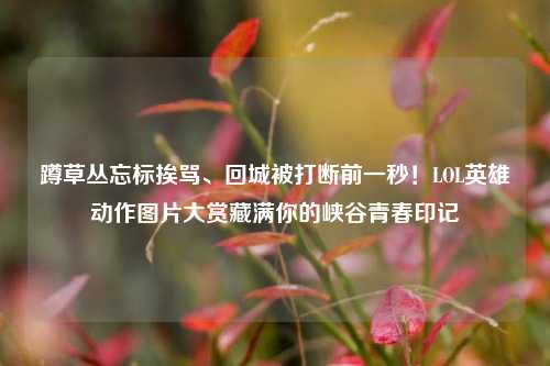 蹲草丛忘标挨骂、回城被打断前一秒！LOL英雄动作图片大赏藏满你的峡谷青春印记