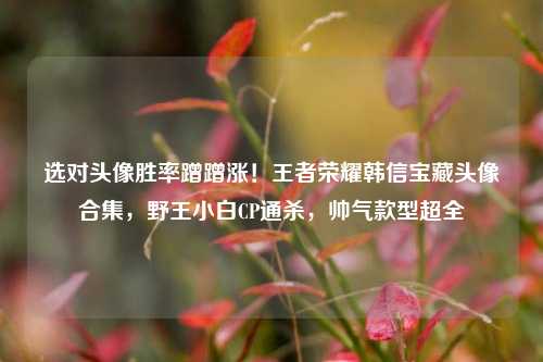选对头像胜率蹭蹭涨！王者荣耀韩信宝藏头像合集，野王小白CP通杀，帅气款型超全