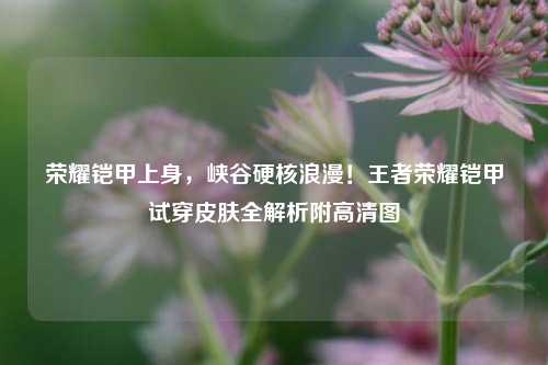 荣耀铠甲上身，峡谷硬核浪漫！王者荣耀铠甲试穿皮肤全解析附高清图