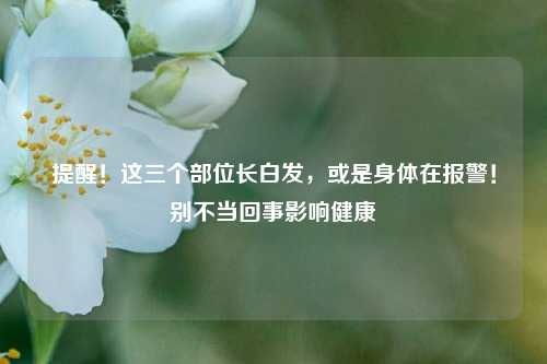 提醒!这三个部位长白发,或是身体在报警!别不当回事影响健康