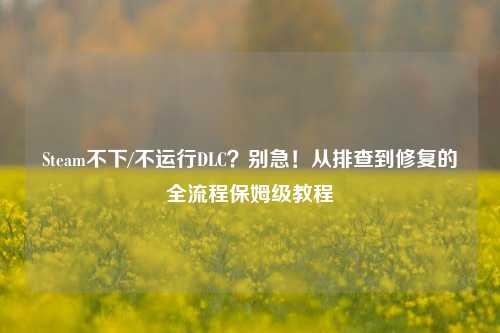 Steam不下/不运行DLC?别急!从排查到修复的全流程保姆级教程