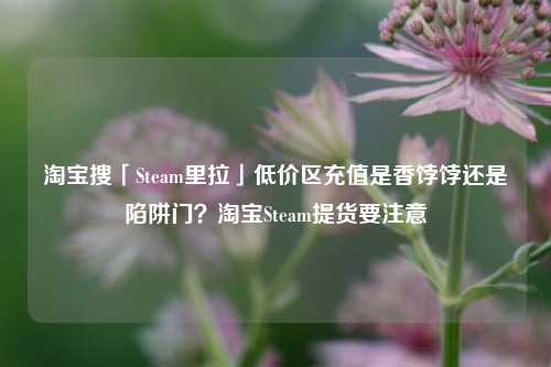 *** 搜「Steam里拉」低价区充值是香饽饽还是陷阱门? *** Steam提货要注意