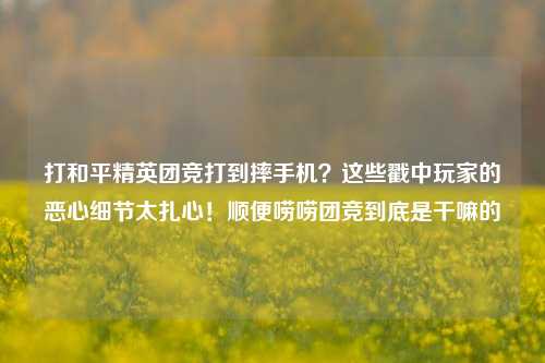 打和平精英团竞打到摔手机?这些戳中玩家的恶心细节太扎心!顺便唠唠团竞到底是干嘛的