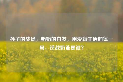 孙子的战场,奶奶的白发,用爱赢生活的每一局,逆战奶爸是谁?