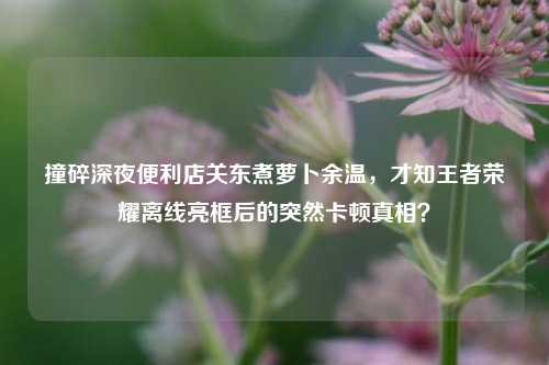 撞碎深夜便利店关东煮萝卜余温,才知王者荣耀离线亮框后的突然卡顿真相?