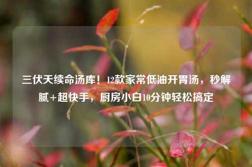 三伏天续命汤库!12款家常低油开胃汤,秒解腻+超快手,厨房小白10分钟轻松搞定