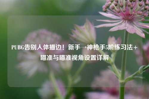 PUBG告别人体描边!新手→神***5阶练习法+瞄准与瞄准视角设置详解