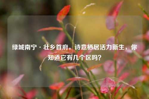 绿城南宁·壮乡首府,诗意栖居活力新生,你知道它有几个区吗?