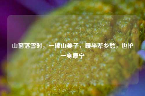 山窗落雪时，一捧山姜子，暖半辈乡愁，也护一身康宁