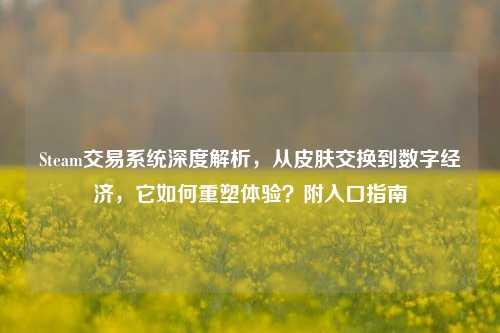 Steam交易系统深度解析，从皮肤交换到数字经济，它如何重塑体验？附入口指南