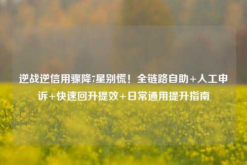逆战逆信用骤降7星别慌！全链路自助+人工申诉+快速回升提效+日常通用提升指南