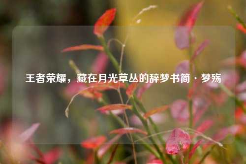 王者荣耀，藏在月光草丛的辞梦书简·梦殇