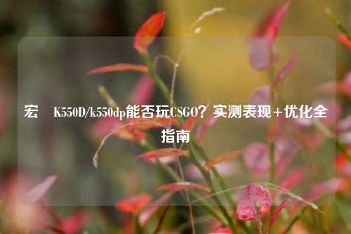 宏碁K550D/k550dp能否玩CSGO?实测表现+优化全指南