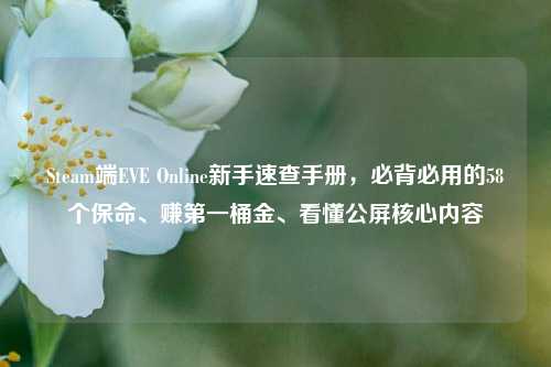 Steam端EVE Online新手速查手册,必背必用的58个保命、赚之一桶金、看懂公屏核心内容