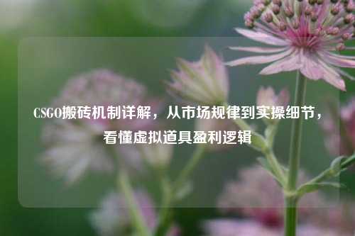 CSGO搬砖机制详解,从市场规律到实操细节,看懂虚拟道具盈利逻辑