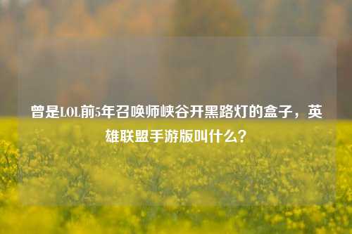 曾是LOL前5年召唤师峡谷开黑路灯的盒子,英雄联盟手游版叫什么?