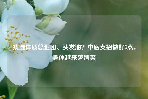 痰湿体质总犯困、头发油？中医支招做好5点，身体越来越清爽