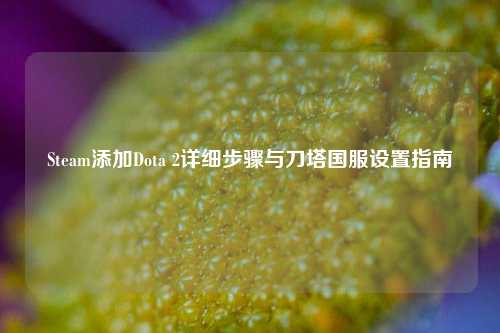 Steam添加Dota 2详细步骤与刀塔国服设置指南
