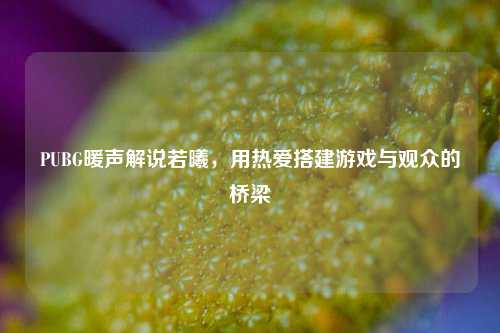 PUBG暖声解说若曦,用热爱搭建游戏与观众的桥梁