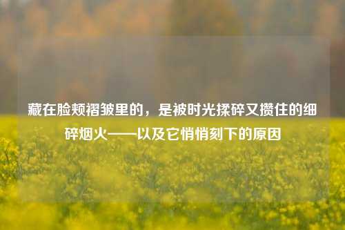 藏在脸颊褶皱里的，是被时光揉碎又攒住的细碎烟火——以及它悄悄刻下的原因