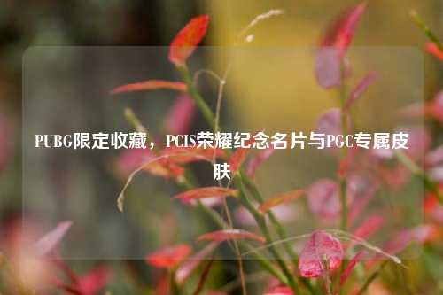 PUBG限定收藏,PCIS荣耀纪念名片与PGC专属皮肤