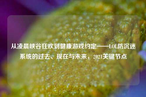 从凌晨峡谷狂欢到健康游戏约定——LOL防沉迷系统的过去、现在与未来,2021关键节点