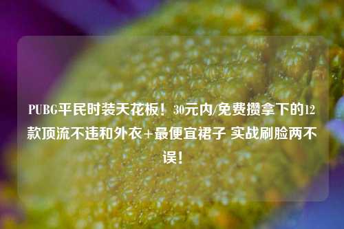 PUBG平民时装天花板!30元内/免费攒拿下的12款顶流不违和外衣+更便宜裙子 实战刷脸两不误!