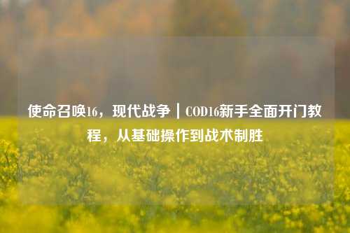 使命召唤16,现代战争|COD16新手全面开门教程,从基础操作到战术制胜