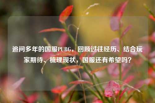 追问多年的国服PUBG,回顾过往经历、结合玩家期待、梳理现状,国服还有希望吗?
