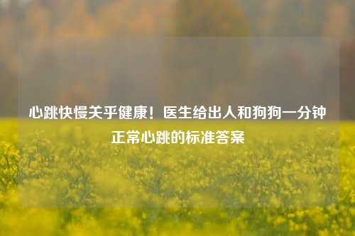 心跳快慢关乎健康!医生给出人和狗狗一分钟正常心跳的标准答案
