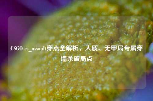 CSGO cs_assault穿点全解析，人质、无甲局专属穿墙杀破局点