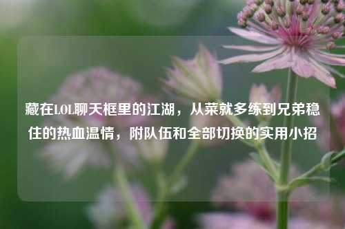 藏在LOL聊天框里的江湖,从菜就多练到兄弟稳住的热血温情,附队伍和全部切换的实用小招
