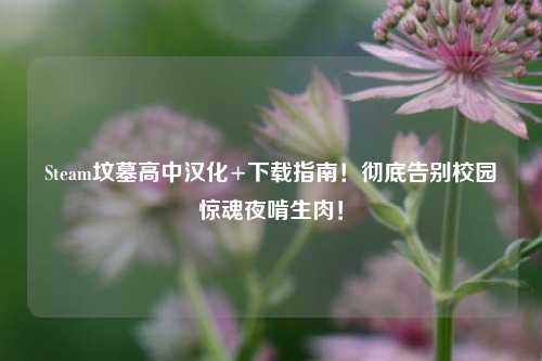 Steam坟墓高中汉化+下载指南!彻底告别校园惊魂夜啃生肉!