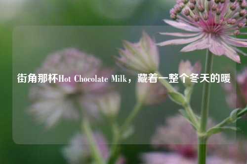 街角那杯Hot Chocolate Milk,藏着一整个冬天的暖