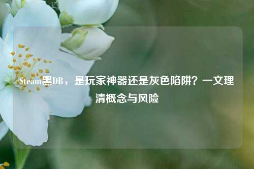 Steam黑DB,是玩家神器还是灰色陷阱?一文理清概念与风险