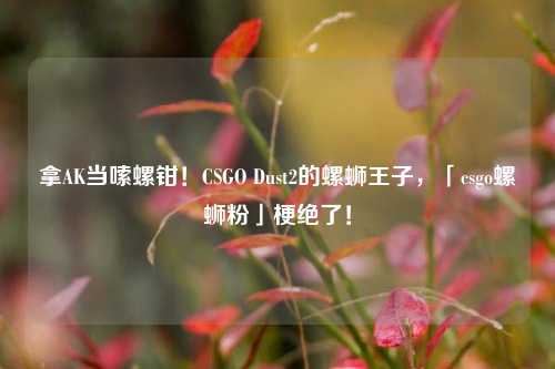 拿AK当嗦螺钳!CSGO Dust2的螺蛳王子,「csgo螺蛳粉」梗绝了!
