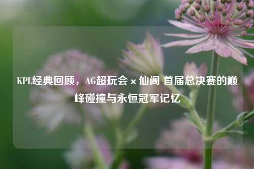 KPL经典回顾,AG超玩会×仙阁 首届总决赛的巅峰碰撞与永恒冠军记忆