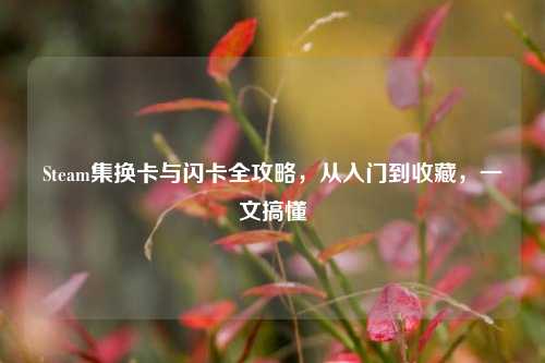 Steam集换卡与闪卡全攻略,从入门到收藏,一文搞懂