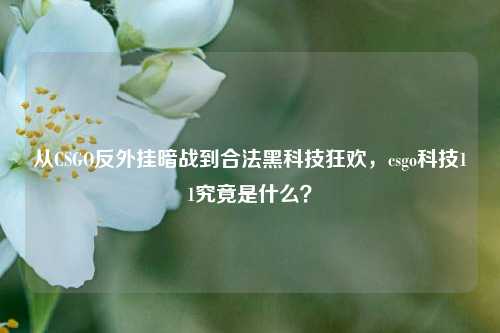 从CSGO反外挂暗战到合法黑科技狂欢,csgo科技11究竟是什么?