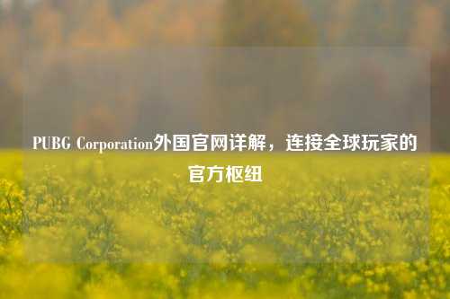 PUBG Corporation外国官网详解,连接全球玩家的官方枢纽