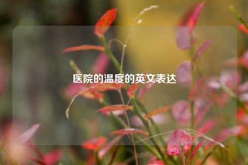 医院的温度的英文表达