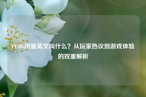 PUBG国服英文叫什么？从玩家热议到游戏体验的双重解析