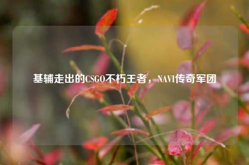 基辅走出的CSGO不朽王者，NAVI传奇军团