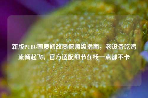 新版PUBG画质修改器保姆级指南,老设备吃鸡流畅起飞,官方适配细节在线一点都不卡