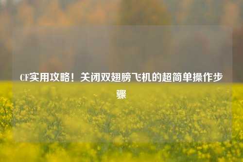 CF实用攻略！关闭双翅膀飞机的超简单操作步骤