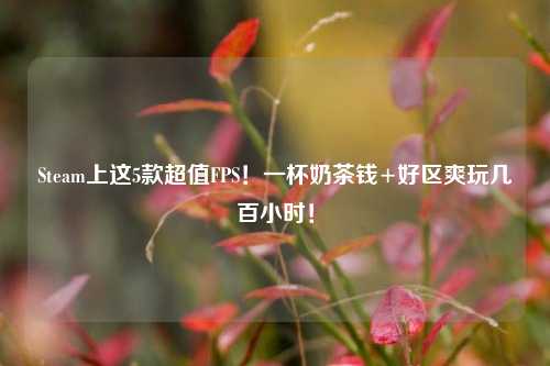 Steam上这5款超值FPS!一杯奶茶钱+好区爽玩几百小时!