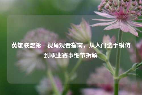 英雄联盟之一视角观看指南，从入门选手模仿到职业赛事细节拆解